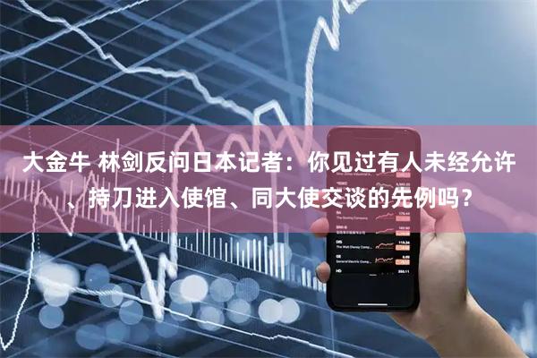 大金牛 林剑反问日本记者：你见过有人未经允许、持刀进入使馆、同大使交谈的先例吗？
