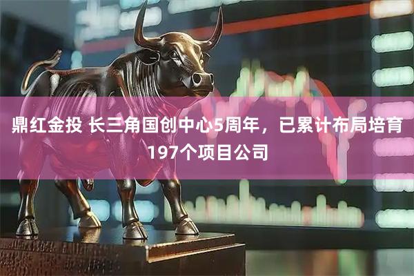 鼎红金投 长三角国创中心5周年，已累计布局培育197个项目公司