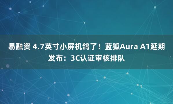 易融资 4.7英寸小屏机鸽了！蓝狐Aura A1延期发布：3C认证审核排队